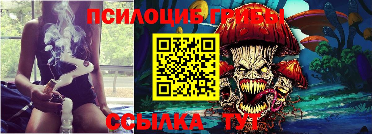 Псилоцибиновые грибы Cubensis  Вход с VPN  Кисловодск 