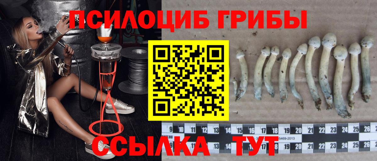 Псилоцибиновые грибы прущие грибы Кисловодск